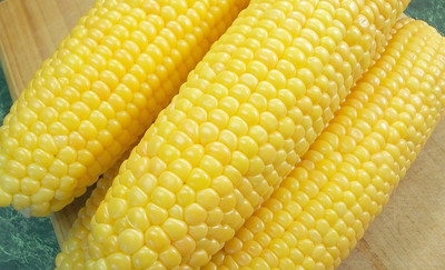 Украина нарастила экспорт кукурузы