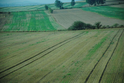 Аграрные расписки помогут расширению сельхозугодий на Ровенщине